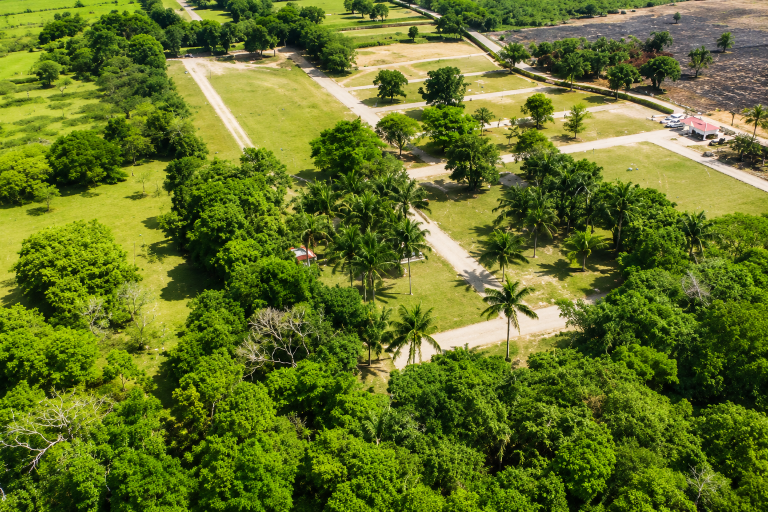 Buganviles Campestre